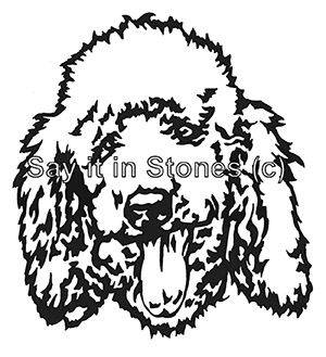 Poodle pet memorial graphic