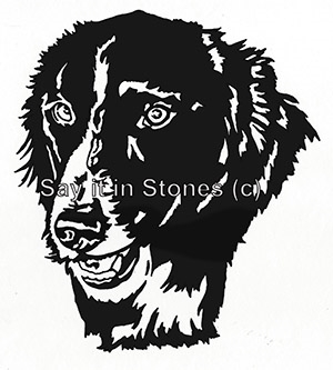 Border Collie graphic apetmemorial.com