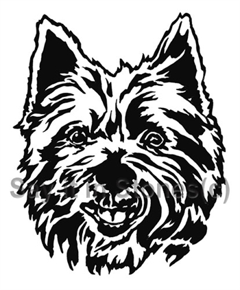 Cairn Terrier image - Apetmemorial.com