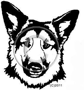 German Shepherd image - apetmemorial.com