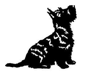 Scottish Terrier