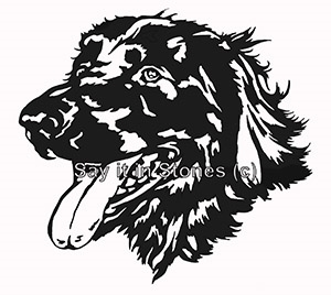Setter Dog  Head memorial graphic