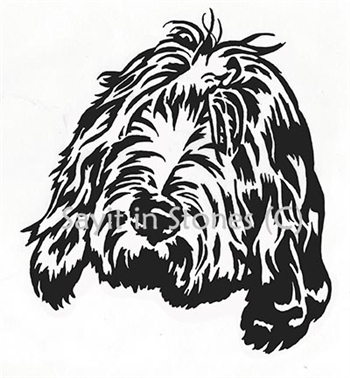 Spinone Italiano memorial graphic