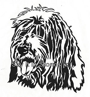 Spinone Italiano dog memorial graphic