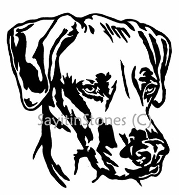 Vizsla Dog  Head memorial graphic