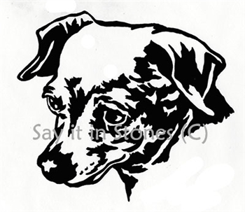 Chihuahua Dog  Head memorial graphic