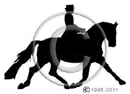 Dressage Silhouette