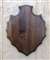 Black Walnut Arrowhead Shoulder Mount Panel 16x20