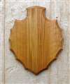 Medium Oak Arrowhead Shoulder Mount Panel 18x23