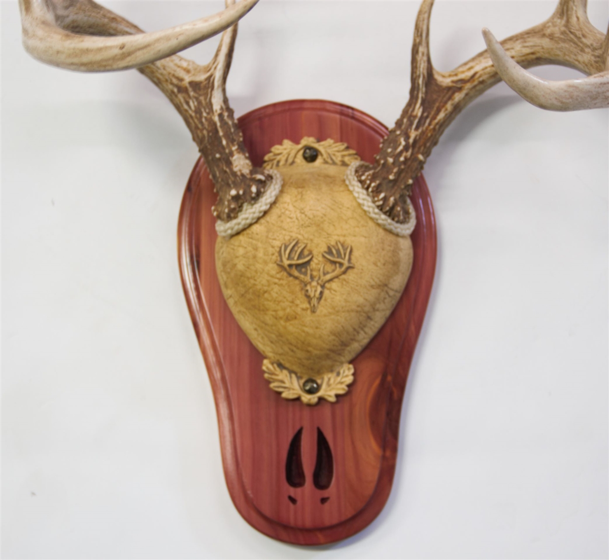 Antler mounting online kit