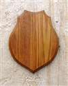 Medium Oak Classic Shoulder Mount Panel 16x20