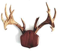 Black Walnut "The Deer Stand" Antler Mounting Kit