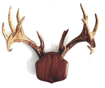 Black Walnut "The Deer Stand" Antler Mounting Kit