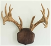 Dark Oak "The Deer Stand" Antler Mounting Kit