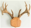 Medium Oak "The Deer Stand" Antler Mounting Kit