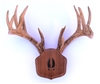 Black Walnut "The Deer Stand" Antler Mounting Kit with Carved Tracks