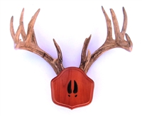 Cedar "The Deer Stand" Antler Mounting Kit with Carved Tracks