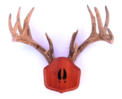 Cedar "The Deer Stand" Antler Mounting Kit with Carved Tracks