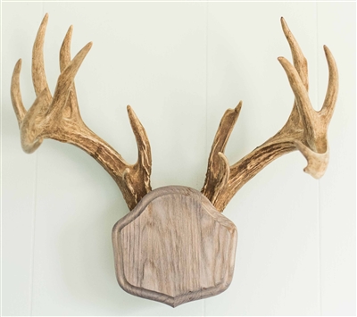 Weathered Wood "The Deer Stand" Antler Mounting Kit