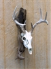 Driftwood Wall Mount for Deer