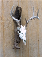 Driftwood Wall Mount for Deer