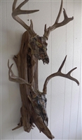 Driftwood Wall Mount for Two Deer