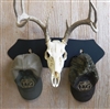 Coat/Hat Rack Skull Hanger