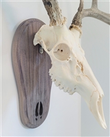 Weathered Wood Deer Track European Skull Mount Face Plate