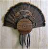 12 Gauge Turkey Fan Beard Plaque - Black Walnut