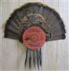 12 Gauge Turkey Fan Beard Plaque - Cedar