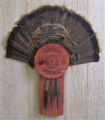 12 Gauge Turkey Fan Beard Plaque with Beard Plate - Cedar