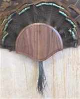 Black Walnut Turkey Fan Beard Mounting Kit - 01