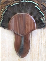 Black Walnut Turkey Fan Beard Mounting Kit - 02