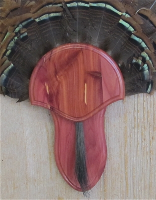 Cedar Turkey Fan Beard Mounting Kit - 02