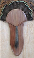 Black Walnut Turkey Fan Beard Mounting Kit - 03