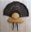 Turkey Fan Beard Plaque for 10  - Medium Oak