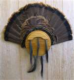 Turkey Fan Beard Plaque for 10  - Medium Oak Circle