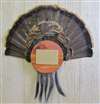 Turkey Fan Beard Plaque and Picture Kit - Cedar Circle