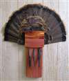 Shotgun Shell Turkey Fan Beard Plaque with Beard Plate - Cedar