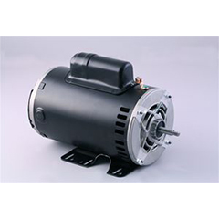 1.0 HP Spa Motor, 115V, 48 Frame, 2 Speed