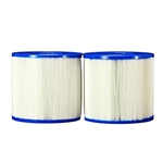 Dynamic Series IV- Replacement Cartridge Filter 35 Sq Ft Total