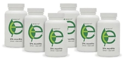 Eco One- SPA 6 Month Refill Kit