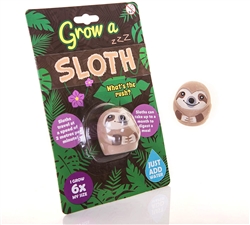 Boxer Gifts Grow a Sloth