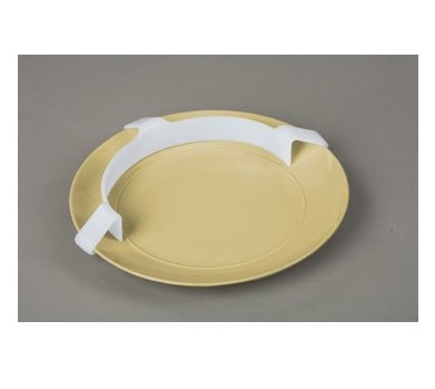 Food Plate Guard