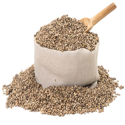 American Hemp Grain Seed