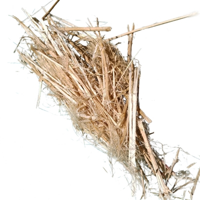 <B>ORDER#: STALK1</B> <BR>100% Hemp Stalks, American Grown