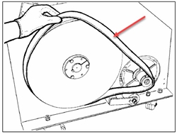 (SRG-BT357401549) BELT N17 P.V Y16 1549