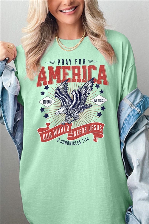 PO-5000-E2275-MINT - EAGLE PRAY FOR AMERICA CHRISTIAN GRAPHIC HEAVYWEIGHT T SHIRTS- MINT-2-2-2-2