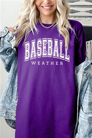 PO-5000-E2318-PU - BASEBALL WEATHER GRAPHIC HEAVYWEIGHT T SHIRTS- PURPLE-2-2-2-2