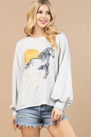S37-1-1-AV1171-RENA - HORSE GRAPHIC LIGHT WEIGHT SWEATSHIRT- 1-2-2-1